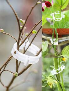 50个植物固定夹、紧固扣、藤蔓植物固定带 - A - 查看 2