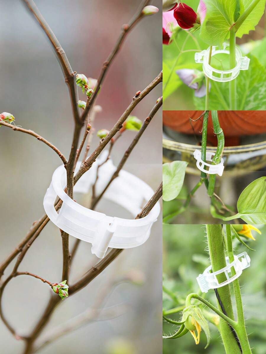50个植物固定夹、紧固扣、藤蔓植物固定带