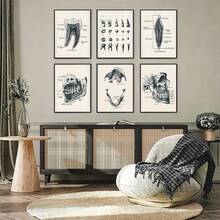 6PCS Retro Dental Anatomy Canvas Poster Wall Art Set, Retro Dental Anatomy Posters, Aesthetic Home Decor, Optional Frame. Wall Decoration, Educational Dental Art Room Decoration Materials, Perfect Bathroom/Living Room/Bedroom/Office/University Dormitory Decoration, Fashionable Dental Office Wall Art, High-End Canvas Prints For Dental Professionals, Ideal Gifts For Dentists - 6PCS - View 7