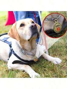 Personalized Engraved Pet ID Tag Stainless Steel Medical Symbol For Dogs Service Animal Collar Pendant Custom 1pc Accessory TN1KValentine's Day Gift For Her MMTG - 銀色 - 查看 6