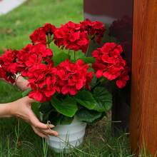 1/4 pieza Flor de geranio de seda artificial, planta de geranio falsa para decoración del hogar, jardín interior, balcón, tumba, jarrón, mesa - Rojo - Ver 5