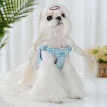 夏季可爱小型犬胸背带和牵引绳套装 - 蓝色格子雏菊图案，柔软轻便，可调节扣环，易于穿戴，透气网布，适合幼犬和小型犬 - 淺藍色 - 查看 7