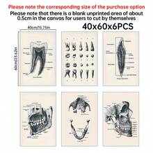 6PCS Retro Dental Anatomy Canvas Poster Wall Art Set, Retro Dental Anatomy Posters, Aesthetic Home Decor, Optional Frame. Wall Decoration, Educational Dental Art Room Decoration Materials, Perfect Bathroom/Living Room/Bedroom/Office/University Dormitory Decoration, Fashionable Dental Office Wall Art, High-End Canvas Prints For Dental Professionals, Ideal Gifts For Dentists - 6PCS - View 15