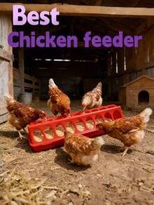 Máng ăn nhiều lỗ cho gà, máng ăn nuôi gà con, máng ăn chim hình chữ nhật dài nhiều lỗ, máng ăn chống gà xô đẩy, máng ăn gia cầm, vật tư nông nghiệp, máng ăn gà con, máng ăn chim cút, máng ăn gà bằng mây - người cho ăn - Xem 1