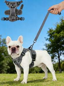 Bộ 1 dây đeo và dây dắt chó có thể điều chỉnh, áo vest chống kéo ngực cho thú cưng, phù hợp cho chó và mèo nhỏ, dây đeo ngực bằng lưới mềm thoáng khí có phản quang. - Màu xám đen - Xem 3