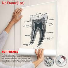 6PCS Retro Dental Anatomy Canvas Poster Wall Art Set, Retro Dental Anatomy Posters, Aesthetic Home Decor, Optional Frame. Wall Decoration, Educational Dental Art Room Decoration Materials, Perfect Bathroom/Living Room/Bedroom/Office/University Dormitory Decoration, Fashionable Dental Office Wall Art, High-End Canvas Prints For Dental Professionals, Ideal Gifts For Dentists - 6PCS - View 3