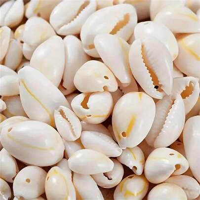 50/100pcs Mini Shell Beads, Varied Colors And Appearances, Beach Decor, DIY Earrings, Bracelets, Necklaces, Jewelry Making