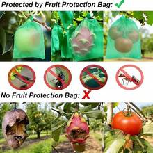 Bộ 15 túi bảo vệ trái cây, lưới che cây và lưới chống chim, chống côn trùng. Thích hợp cho cà chua, nho, táo và các loại cây trồng khác trong vườn. Túi bảo vệ có thể tái sử dụng. - A - Xem 8