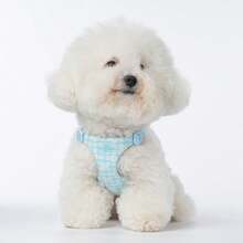 夏季可爱小型犬胸背带和牵引绳套装 - 蓝色格子雏菊图案，柔软轻便，可调节扣环，易于穿戴，透气网布，适合幼犬和小型犬 - 淺藍色 - 查看 4