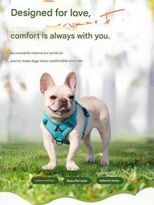 反光宠物胸背带和牵引绳套装，适用于犬猫，防逃脱可调节小型犬胸背带，带柔软网布（升级款将优先发货。） - 綠色 - 查看 5