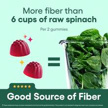 Fiber Supplement Gummies – Prebiotic Chicory Root Fiber For Digestive & Gut Support | Sugar Free Vegan Daily Gummies For Adults, 60 Count - 1 chai - Xem 4