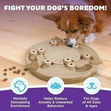 Outward Hound By Nina Ottosson MultiPuzzle – Interactive Dog Treat Puzzle Enrichment Toy, Level 4 Expert - Đen - Xem 2