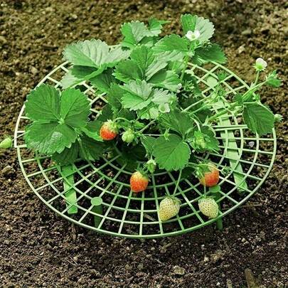 8-Piece Set, 8-In-1 Combination - High-Quality Strawberry Planting Pot - Quick Installation Design - Multi-Functional Plant Stand, Suitable For Strawberries And Small Green Plants