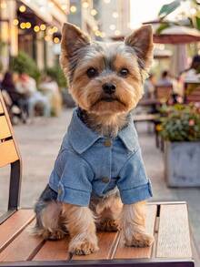 PETCIRCLE Áo khoác dễ thương cho thú cưng nhỏ, bền và có thể giặt được. - Màu xanh lam - Xem 5