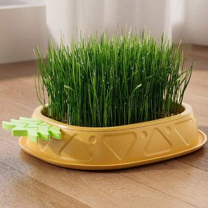 1pc (Excluding Seeds) Hydroponic Cat Grass Planting Kit, Helps Cats' Digestion And Health Improvement - Includes Greenhouse-Style Growth Box, Soilless Hydroponic Planter, Suitable For Gardening And Seedling (Excluding Seeds Planting Kit)
