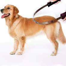Dual-Sided Shedding Blade With Stainless Steel Blade De-Shedding Tool For All Dog Coat Types- Soft Touch Grip - View 6