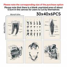 6PCS Retro Dental Anatomy Canvas Poster Wall Art Set, Retro Dental Anatomy Posters, Aesthetic Home Decor, Optional Frame. Wall Decoration, Educational Dental Art Room Decoration Materials, Perfect Bathroom/Living Room/Bedroom/Office/University Dormitory Decoration, Fashionable Dental Office Wall Art, High-End Canvas Prints For Dental Professionals, Ideal Gifts For Dentists - 6PCS - View 14