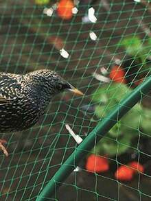 Heavy Duty Anti-Bird Netting For Garden, Protect Fruits And Vegetables, Plastic Mesh Fencing For Birds, Deer, Squirrels And Other Animals - Multicolor - View 4