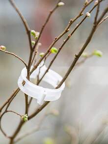 50个植物固定夹、紧固扣、藤蔓植物固定带 - A - 查看 5