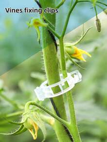 50个植物固定夹、紧固扣、藤蔓植物固定带 - A - 查看 9
