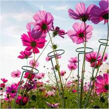 20Pcs Metal Plant Bow Stand Stake Strong Round Garden Flower Support Y Shape UK - View 8