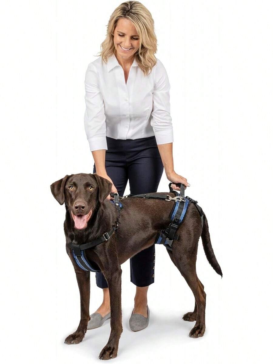 CareLift - Support Harness - Full-Body Lifting- Large - Full Support - View 1