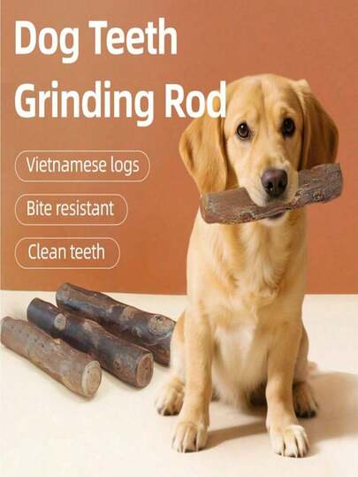 Đồ chơi gặm cho chó bằng gỗ cà phê tự nhiên 100%, nhiều kích cỡ, giúp chó giải tỏa sự nhàm chán, đồ dùng tương tác trong huấn luyện chó, phù hợp với mọi kích cỡ chó, que gặm, que vệ sinh (hình dạng và màu sắc ngẫu nhiên) dành cho chó Halloween