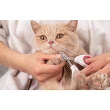 Professional Pet Nail Clippers For Cats Dogs, Sharp Stainless Steel Nail Scissors With Round Blade & Non-Slip Handle, Professional Grooming Tool For Easy Nail Trimming, Christmas Halloween Holiday Pet Gift - View 5