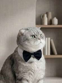 PETSIN 1pcPet Bowtie Necktie Bowknot Wedding Neck Bib False Collar - Multicolor - View 13