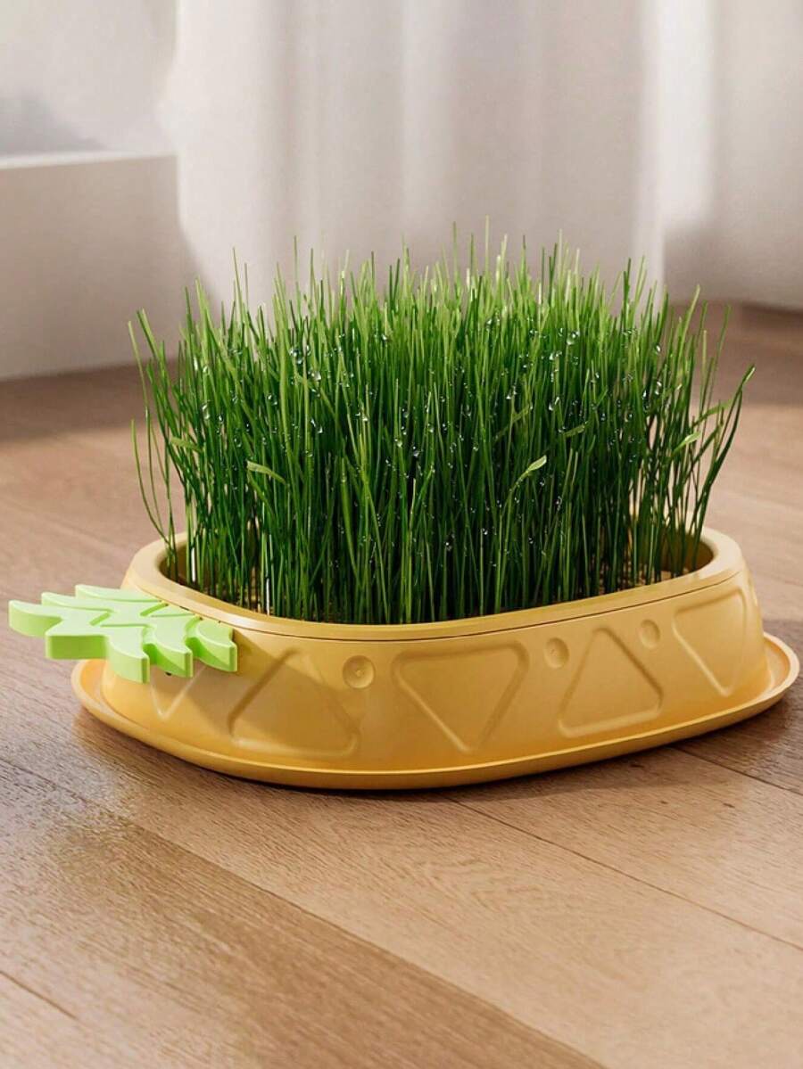 1 bộ (không bao gồm hạt giống) Bộ trồng cỏ mèo thủy canh, giúp cải thiện tiêu hóa và sức khỏe của mèo - Bao gồm hộp trồng kiểu nhà kính, chậu trồng thủy canh không cần đất, thích hợp cho việc làm vườn và ươm cây con (Không bao gồm bộ trồng hạt giống) - A - Xem 1