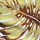 粉色