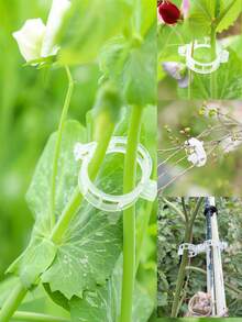 50个植物固定夹、紧固扣、藤蔓植物固定带 - A - 查看 7