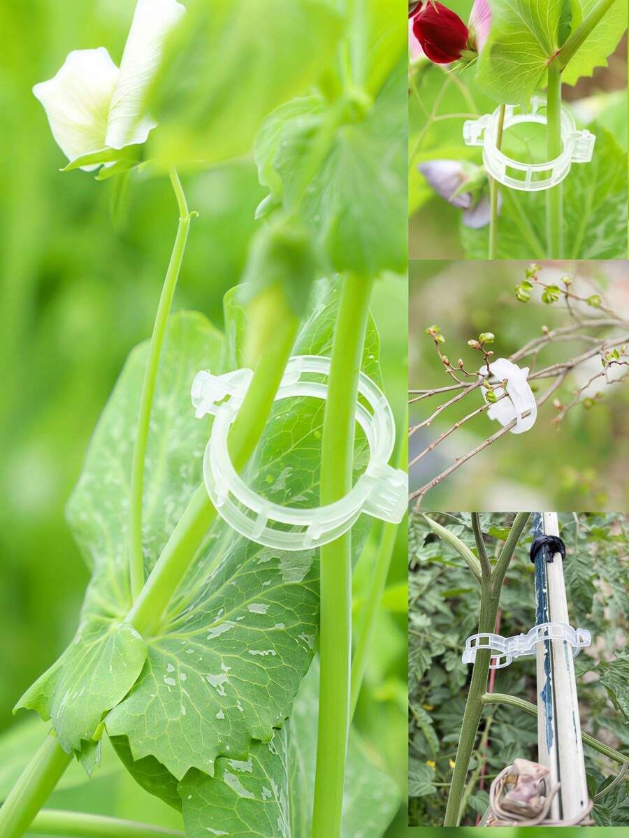50pcs Plant Fixing Clips, Fastening Buckles, Vine Plant Fixing Bands
