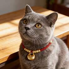 1件猫/狗宠物项圈长寿锁，金珠猫/狗项链项圈无声招财可调节颈环 - 彩色 - 查看 5
