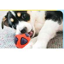 Bóng đồ chơi gặm cho chó cưng, chống cắn, đàn hồi và có tiếng kêu, & - Màu sắc tùy ý - Xem 4