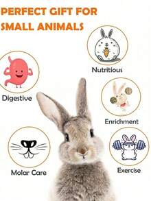 仓鼠磨牙玩具组合套装，苹果木、丝瓜络、胡萝卜磨牙玩具，沙鼠兔子解闷用品 - 查看 5