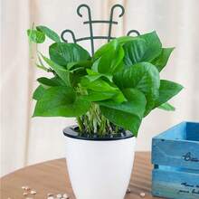 4/8/12 Pcs Stackable Planter Grid, Mini Indoor Plastic Trellis For Climbing Plants, DIY Planter Grid Rack - New Model - View 5