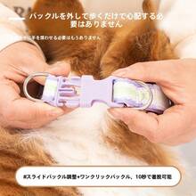 犬用首輪、小型犬用首輪、テディ犬・ビション犬用首輪、ペット用リード、中型犬用首輪、コーギー・柴犬用首輪 - レモンイエロー - チェックする 3
