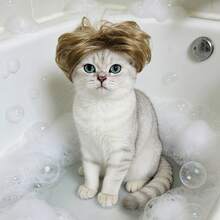 Tóc giả tết cho thú cưng, phụ kiện búi tóc đôi có nơ cho mèo và chó. - Rỉ Nâu - Xem 3