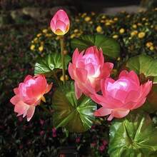 1pc Solar Powered Lotus Flower Ground Stake Light, Realistic Garden Lawn Lamp, Suitable For Yard, Patio, Lawn, Path And Holiday Party, Landscape Lighting - White Light - View 2