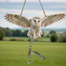 1/2 件亚克力驱鸟器 2D 平面仿真猫头鹰装饰品，带全息反光胶带，适用于户外花园、庭院、果园，悬挂式逼真假驱鸟装置。 - 貓頭鷹驅鳥器 - 查看 1