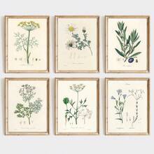 Set Of 6 Unframed Vintage Herbs & Botanical Art Prints, Retro Fern & Wildflower Canvas Posters, Farmhouse Kitchen Gallery Wall Decor, Aesthetic Floral Wall Art For Bedroom & Living Room, Housewarming Gift, Rolled Canvas No Frame - Plant - View 14