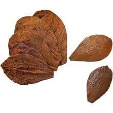 Natural  Almond Catappa Leaves For Betta Fish Aquarium Water Conditioner Tannins PH Balance Fin Health Color Enhancement Stress Relief - 1 - 查看 2