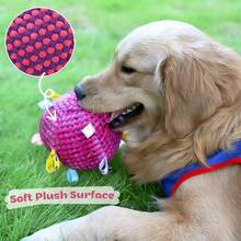 1件宠物玩具铃铛滚动牙齿玩具狗玩具睡觉通风狗玩具 - 彩色 - 查看 6