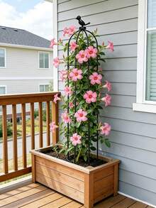 2/3/4 Tier Decorative Garden Trellis, Plant Climbing Support Cage Suitable For Vines, Flowers, Potted Plants, Vegetables, Tomatoes, Beans, Cucumbers, Outdoor Patio Garden Decor, Floral Climbing Rack - Plant Climbing Frame - View 11