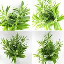 Artificial Single Stem Sesame Flower With Leaf, Agricultural Crop Fruit Tree Greenery, Symbolizing Promotion And Advancement, Suitable For Office Promotion, Home Decor - Green - View 5