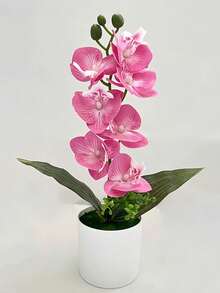 1/2pcs Magenta & White Artificial Phalaenopsis Orchid Potted Plant, Elegant Silk Bonsai With White Pot, Realistic Faux Orchid For Home, Office, Kitchen Decor, Perfect For Wedding, Valentine's Day & All Seasons - Red Violet - View 7