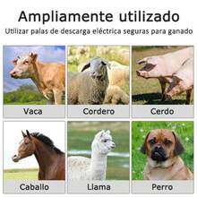 Disparador eléctrico portátil desmontable, resistente al agua y a los golpes, herramienta para alejar animales domésticos, equipo para alejar animales de granja, bastón eléctrico universal para repeler cerdos, adecuado para cerdos, vacas y ovejas. - Ver 10