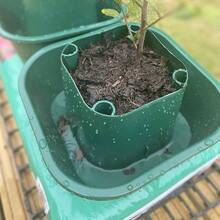 Tomato And Vegetable Growbag Pots Improved Watering - Pack Of 6 - Green - View 4