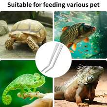 Multifunctional Stainless Steel Tweezers, Long And Durable Clamps, Suitable For Pet Feeding, Outdoor Bonsai, Repair, BBQ, DIY Jewelry Making, Aquarium Cleaning - Tweezers - View 8